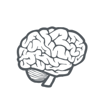 Analysis and Recommendations